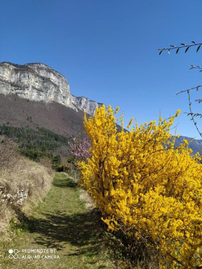 Au Pied De La Montagne Et Vue Imprenable