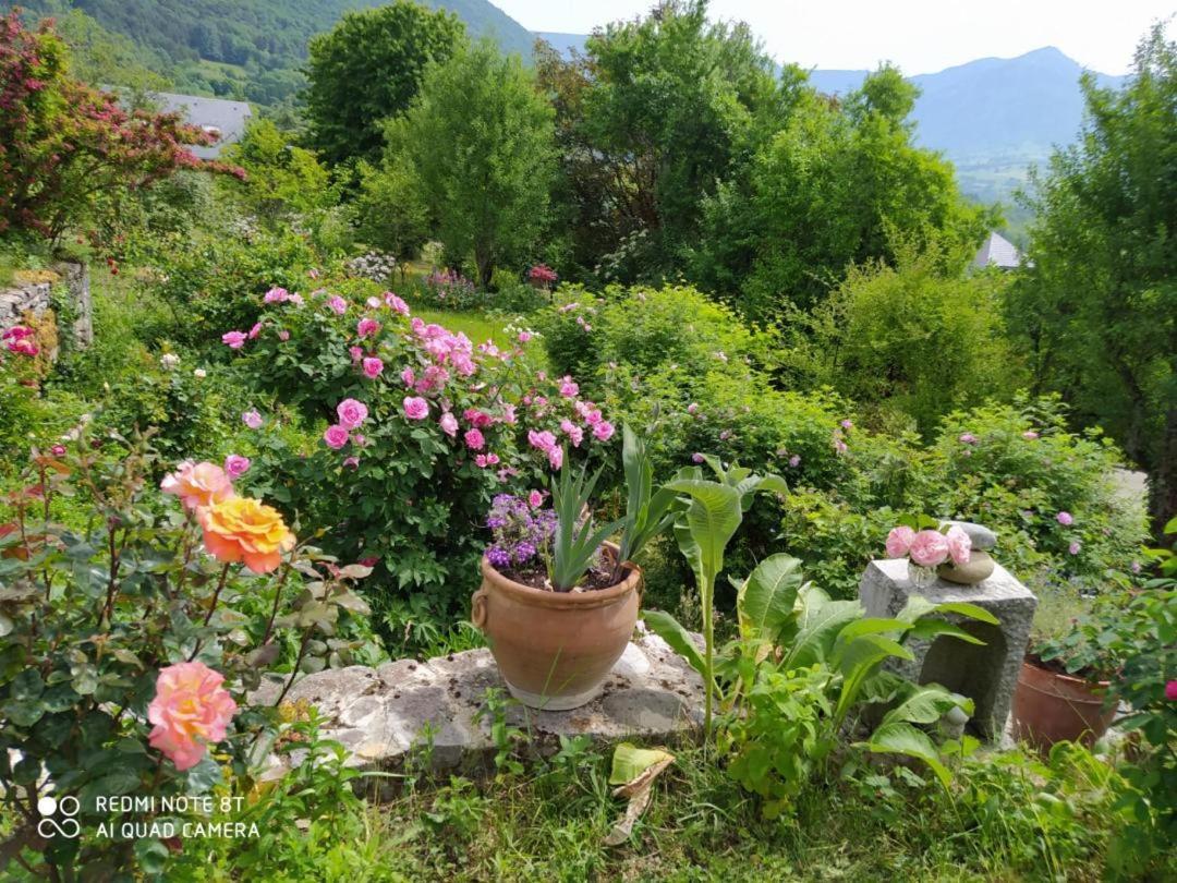 Au Pied De La Montagne Et Vue Imprenable Saint-Alban (Rhone-Alps)