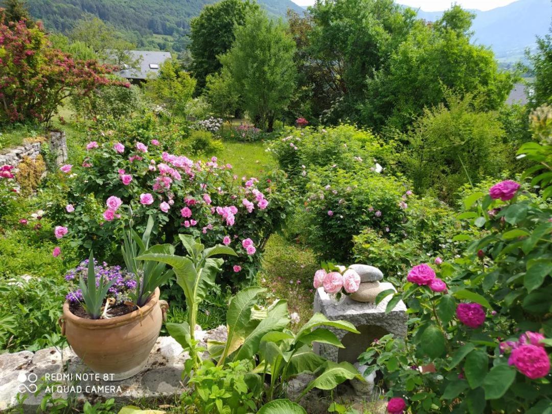 Au Pied De La Montagne Et Vue Imprenable Apartment *